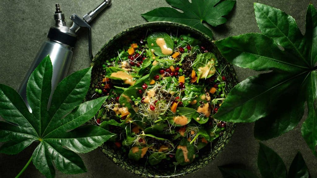 Grøn salat med granatæble-dressing