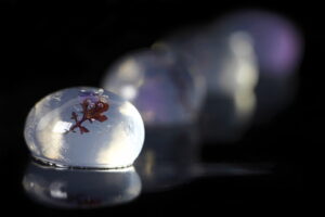 Gin tonic inverse spherification